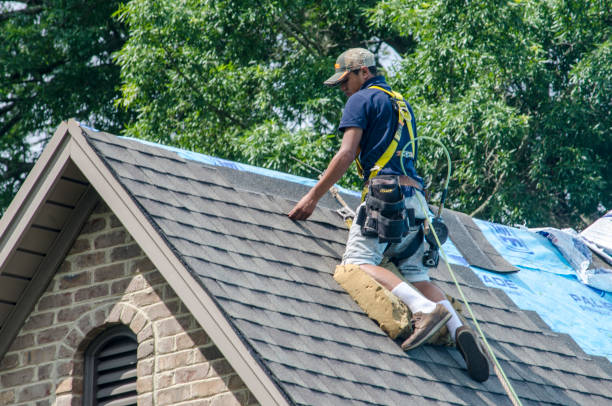 Best Roof Gutter Cleaning  in Kaloko, HI